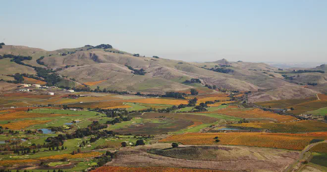 a picturesque image of Napa Valley with vineyards in beautiful fall colors